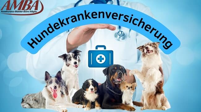 Hundekrankenversicherung