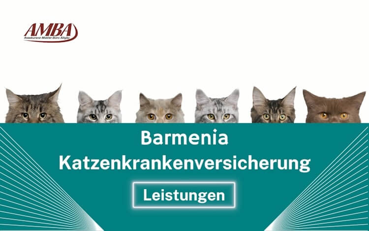 Barmenia Katzenkrankenversicherung