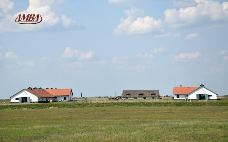 die richtige Gebäudeversicherung für die Landwirtschaft