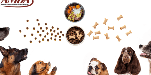 Hundeernährung