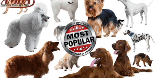 beliebteste Hunderassen