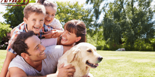 Familienhunde