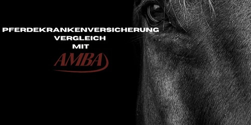 Unser Pferdekranken Vergleich