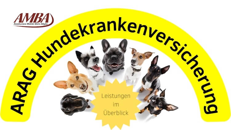 Leistungen der ARAG Hundekrankenversicherung