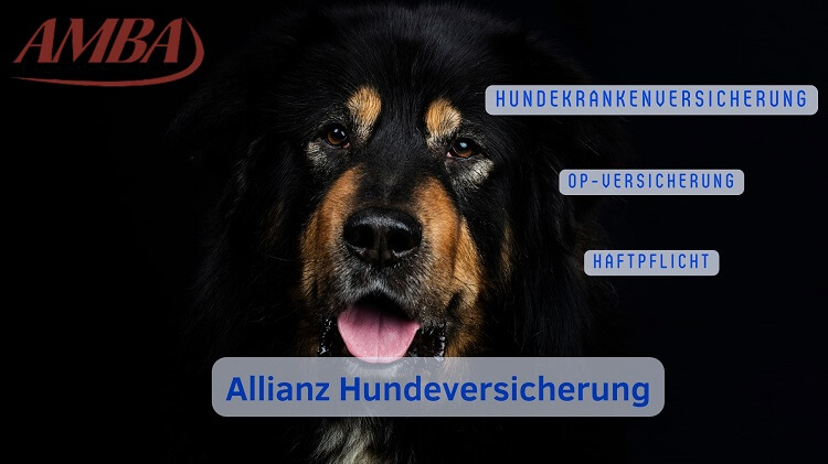 Tarife und Leistungen der Allianz Hundeversicherung