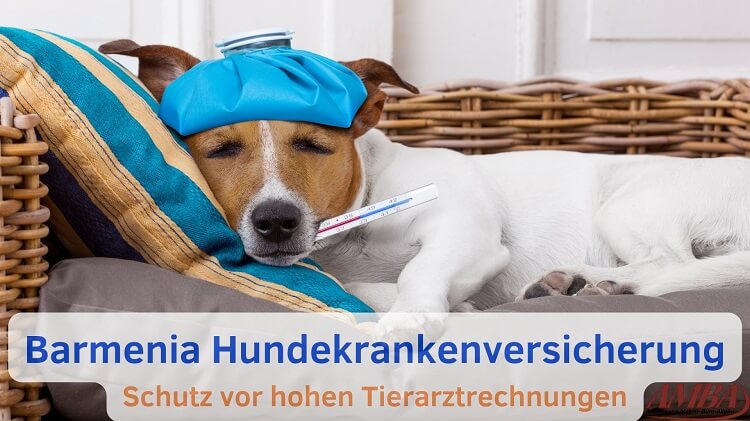 Leistung der Barmenia Hundekrankenversicherung