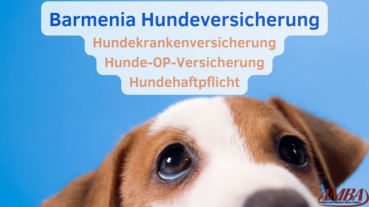 Leistung der Hundeversicherung von Barmenia