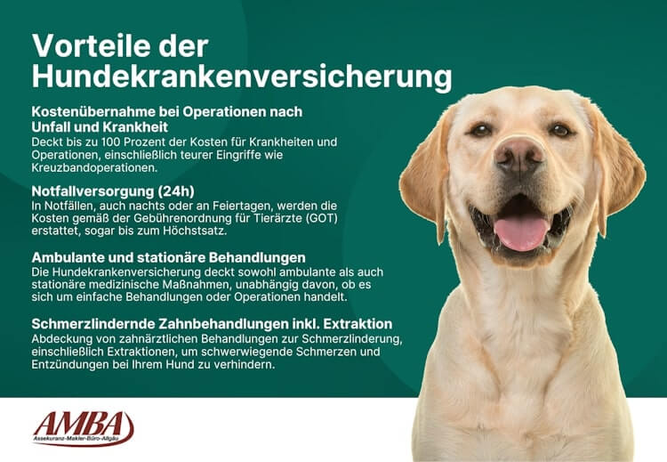 Vorteile einer Hundekrankeversicherung