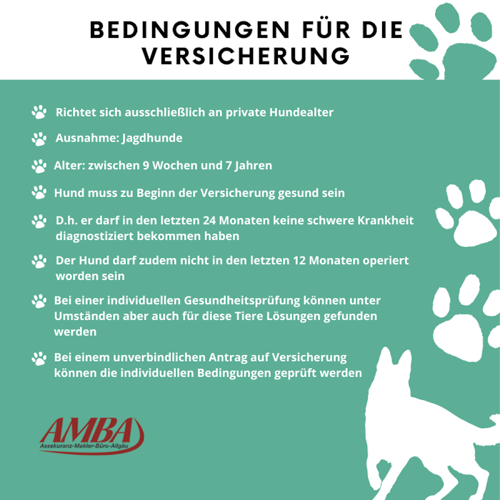 Bedingungen der Gothaer Hundekrankenversicherung