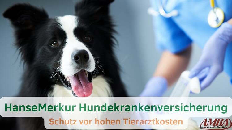 Leistungen der Hundekrankenversicherung HanseMerkur