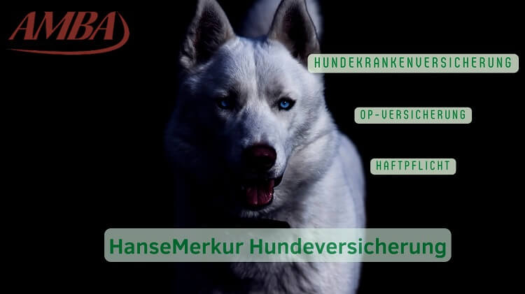 Überblick über die HanseMerkur Hundeversicherung