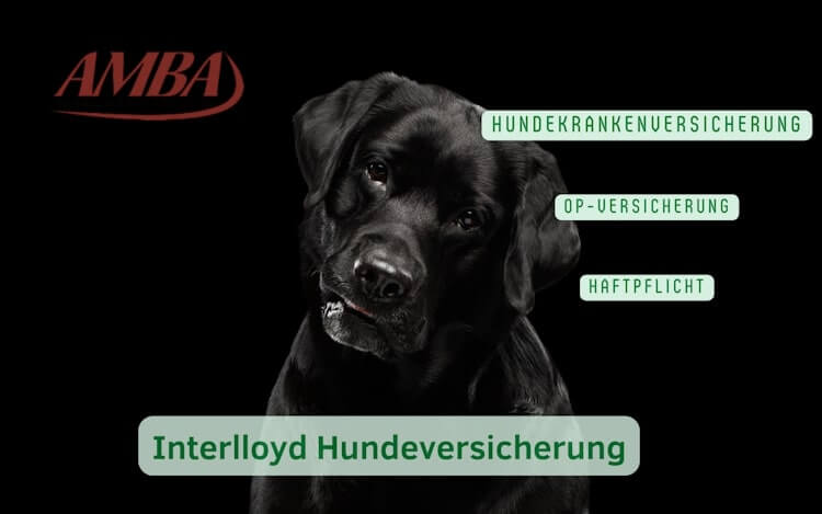 Interlloyd Hundeversicherung