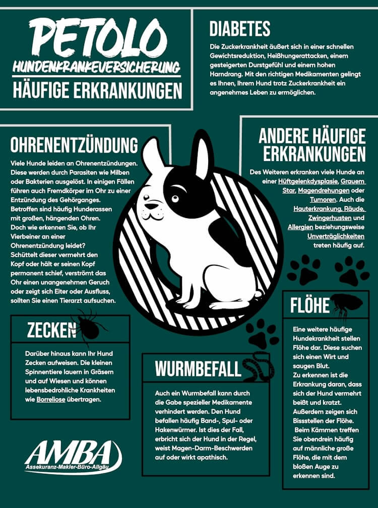 häufige Hundekrankheiten