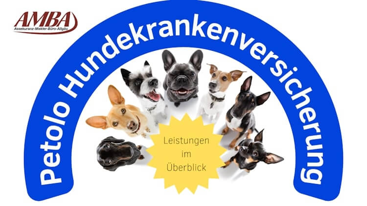 Was leistet die Petolo Hundekrankenversicherung