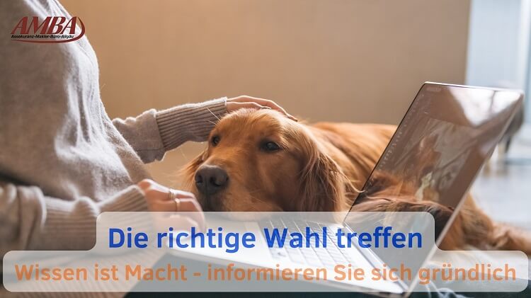 Hundebesitzer überprüft Versicherungsunterlagen