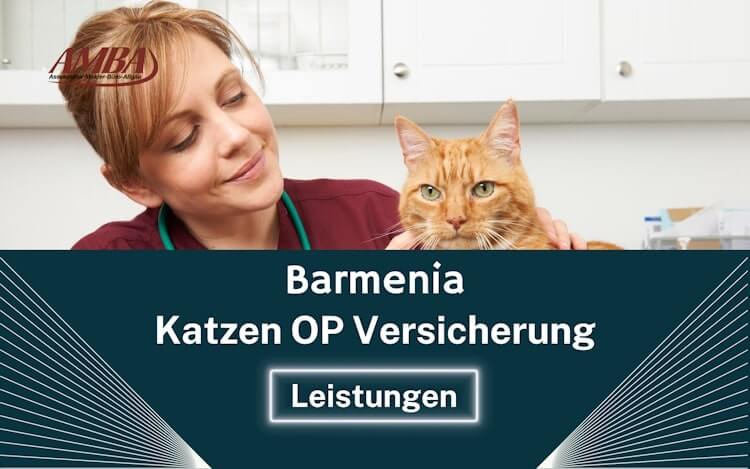 Barmenia Katzen OP Versicherung