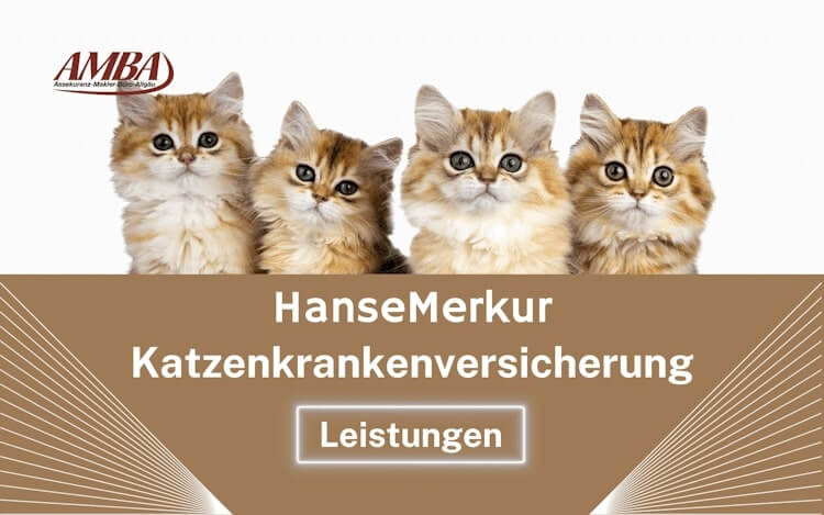 die Katzenkrankenversicherung der HanseMerkur