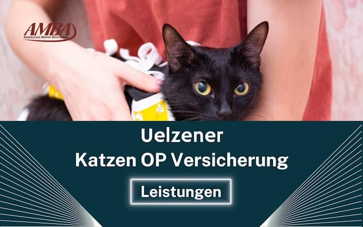 Uelzener Katzen-OP-Versicherung