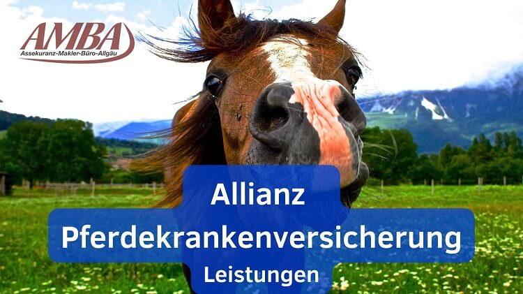 Detaillierte Darstellung der Allianz Pferdekrankenversicherung, die eine umfassende Deckung und erstklassige medizinische Betreuung für Ihr Pferd bietet.