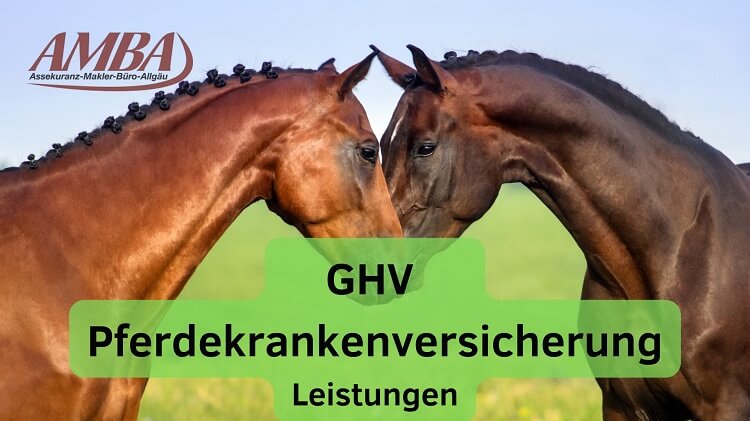 Präsentation der GHV Pferdekrankenversicherung, die den Schutz und die Sicherheit Ihres Pferdes in den Vordergrund stellt.