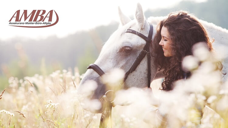 die Bedeutung einer Pferdekrankenversicherung mit Schwerpunkt auf medizinischer Betreuung und finanzieller Sicherheit.