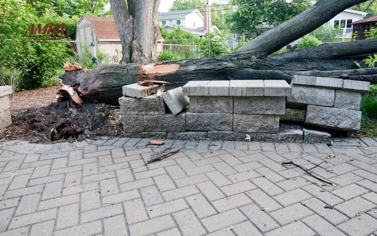 umgestürzter Baum beschädigt Garten