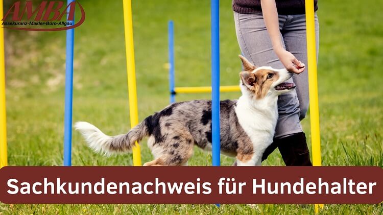 Sachkundenachweis für Hunde