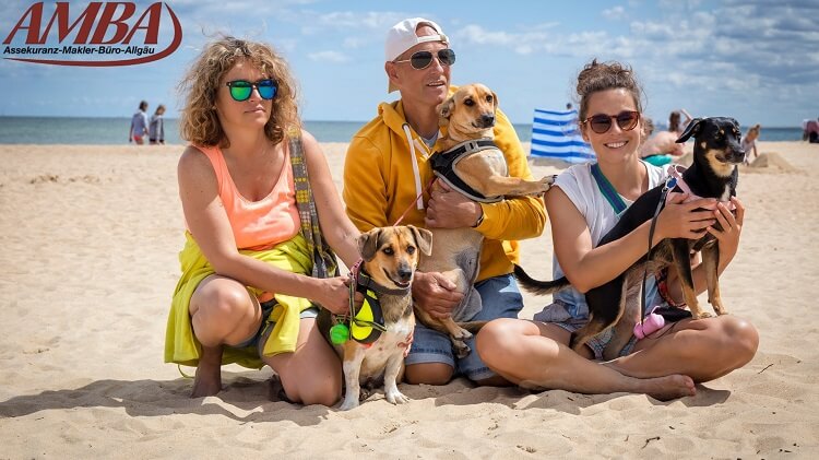 Strandurlaub mit Hund