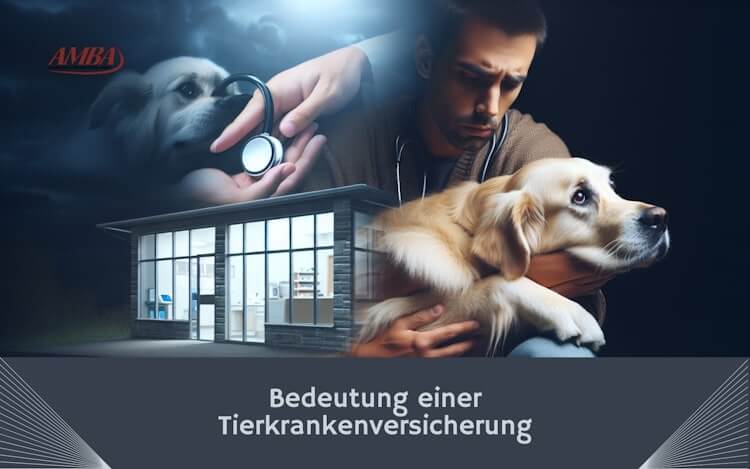 Bedeutung einer Tierkrankenversicherung