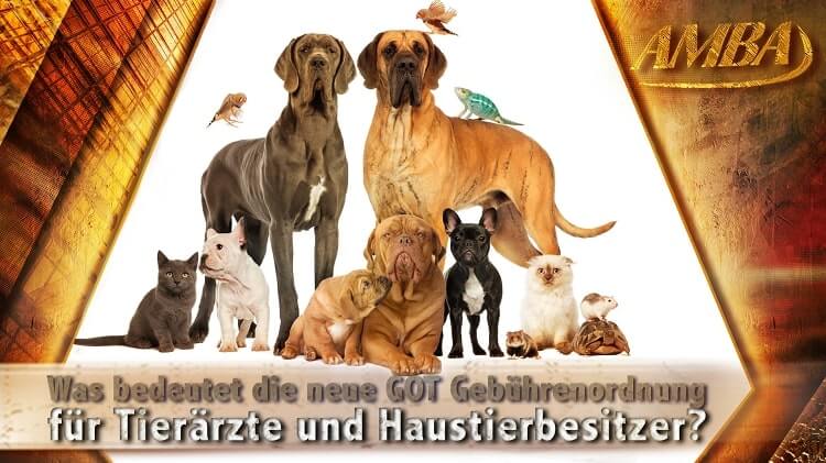 Gebührenordnung für Tierärzte