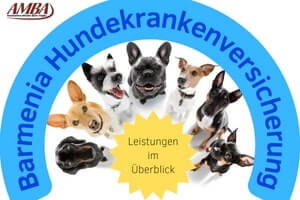 Barmenia Hundekrankenversicherung