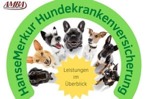HanseMerkur Hundekrankenversicherung