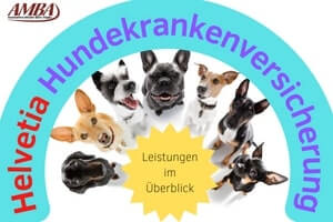 Helvetia Hundekrankenversicherung