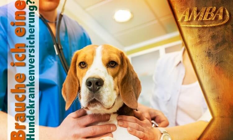 Hund mit Besitzer bei Tierarztbesuch