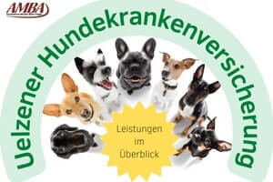 Uelzener Hundekrankenversicherung