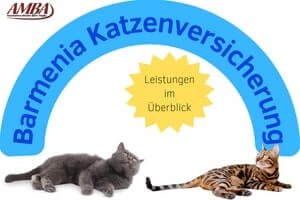 Barmenia Katzenversicherung