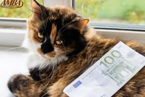 Katzenversicherung Kosten