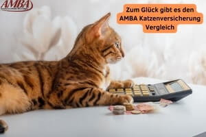 Katzenkrankenversicherung Vergleich