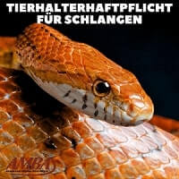 Tierhalterhaftpflichtversicherung für Schlangen
